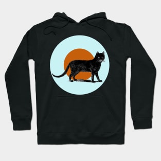 Halloween Black Cat, Signs and Symbols - Pale Blue and Cinnamon Hoodie